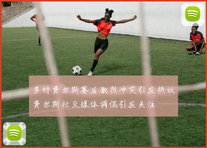 多特费尔斯赛后激烈冲突引发热议费尔斯社交媒体调侃引发关注