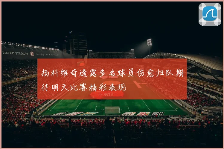 扬科维奇透露多名球员伤愈归队期待明天比赛精彩表现