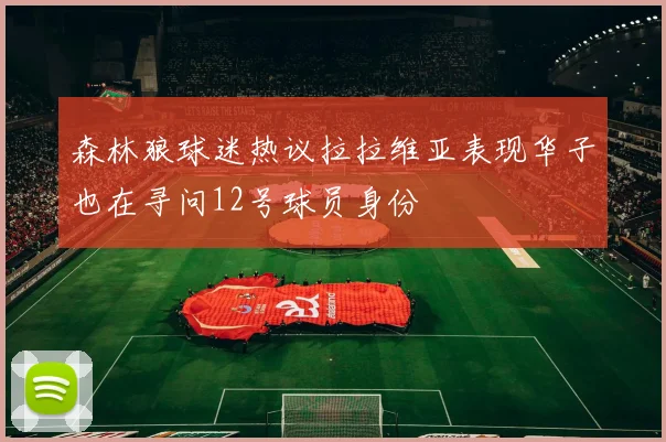 森林狼球迷热议拉拉维亚表现华子也在寻问12号球员身份