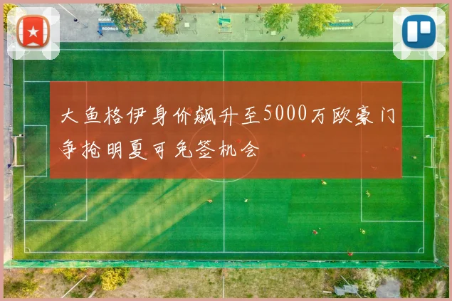 大鱼格伊身价飙升至5000万欧豪门争抢明夏可免签机会