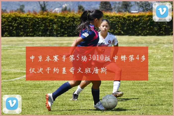 申京本赛季第5场3010板中锋第4多仅次于约基奇文班唐斯